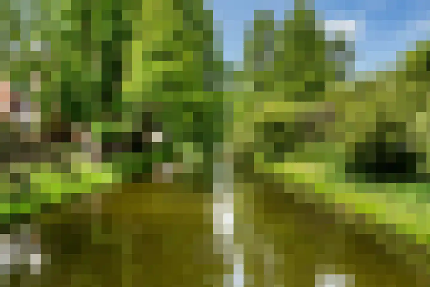 Hoekersingel 61 Rotterdam thumbnail 7