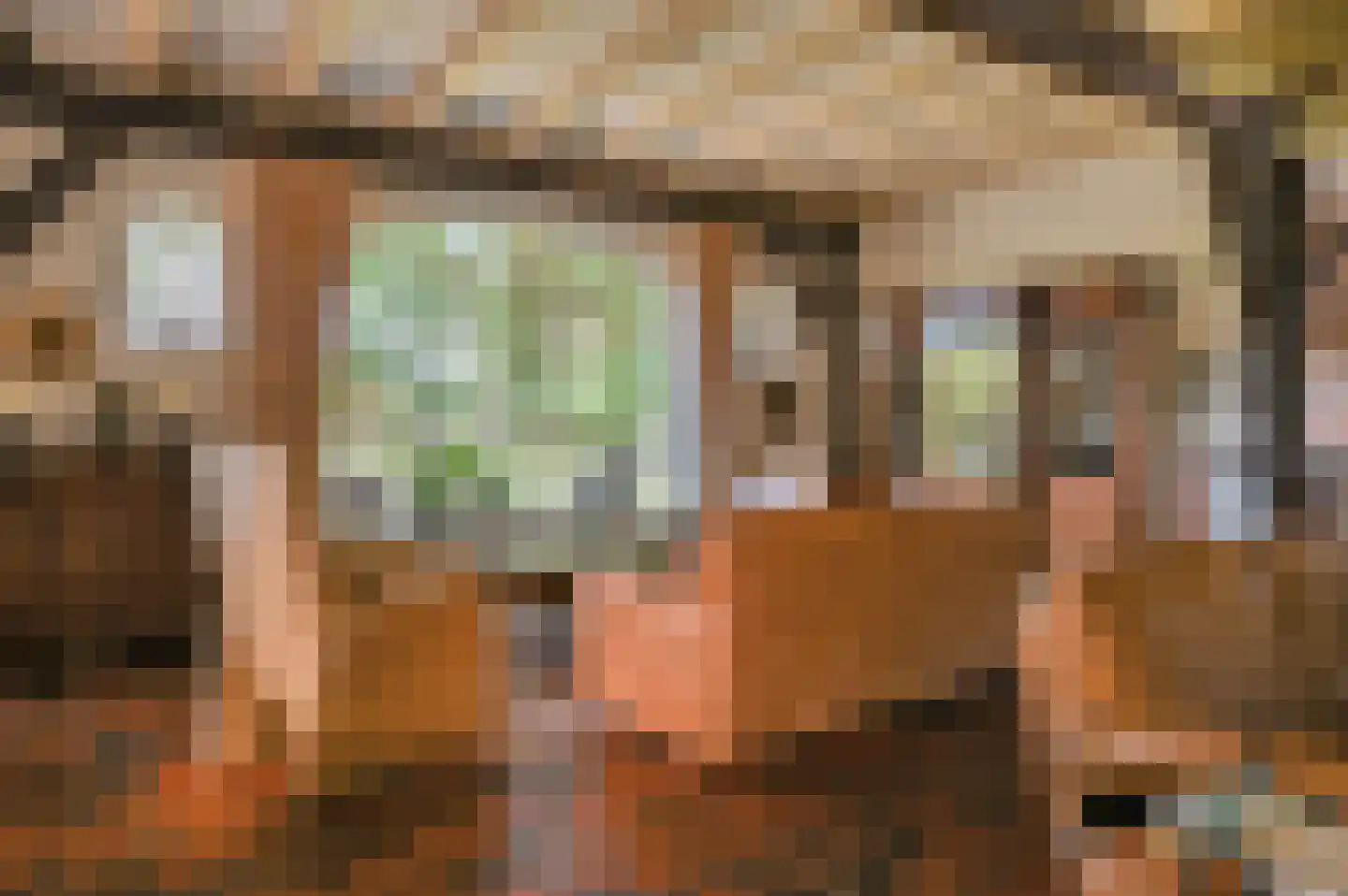 Hoekersteeg 1 Nijkerk thumbnail 12
