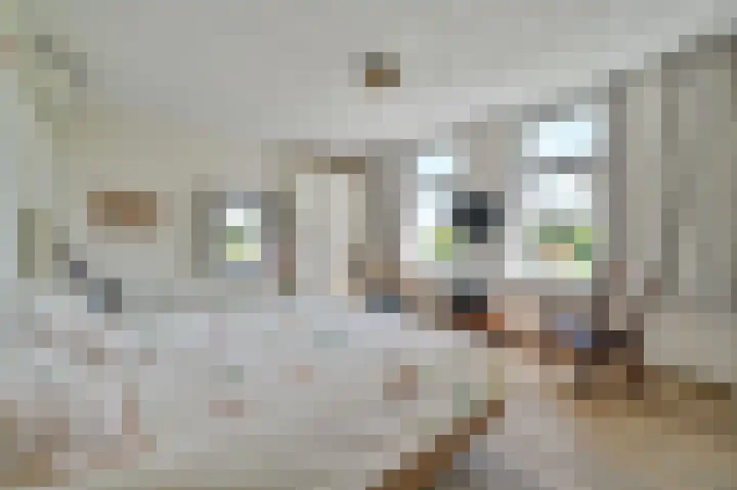 Hoekersteeg 1 Nijkerk thumbnail 19