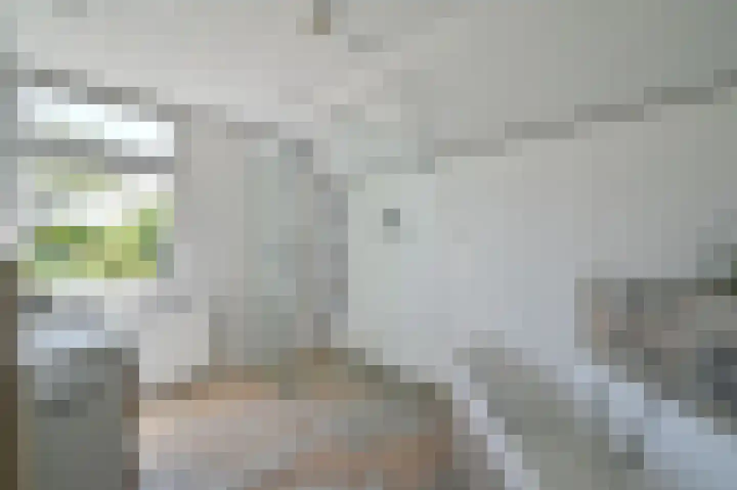 Hoekersteeg 1 Nijkerk thumbnail 21