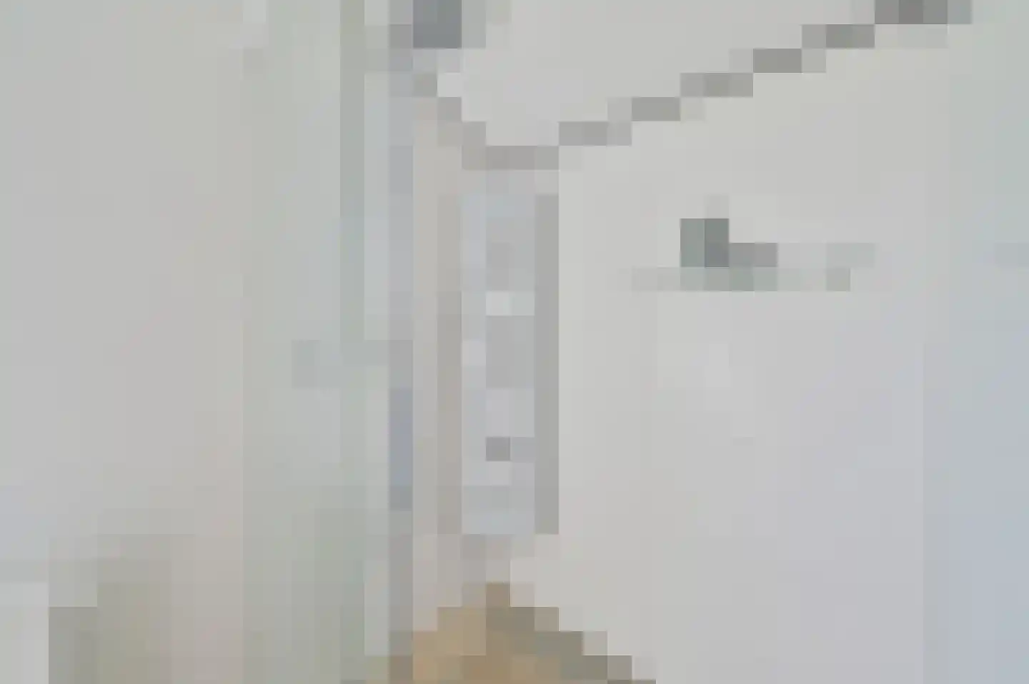 Hoekersteeg 1 Nijkerk thumbnail 23