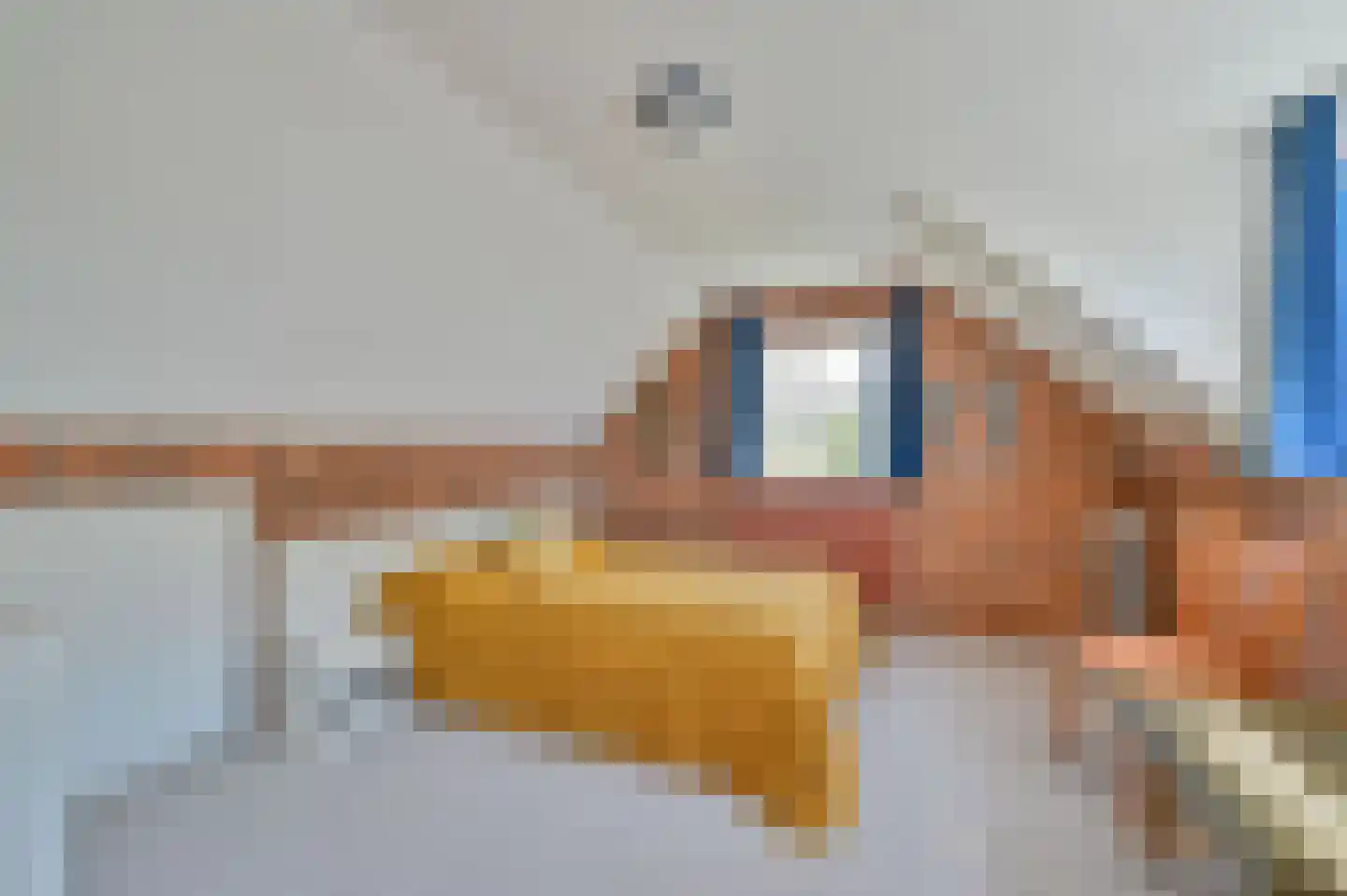 Hoekersteeg 1 Nijkerk thumbnail 28