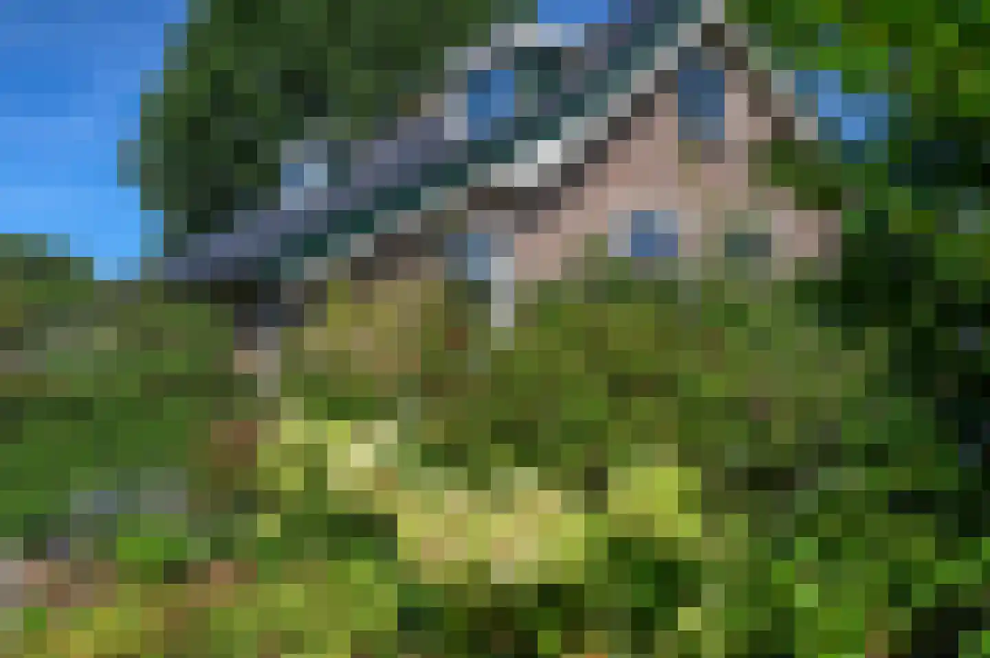 Hoekersteeg 1 Nijkerk thumbnail 4
