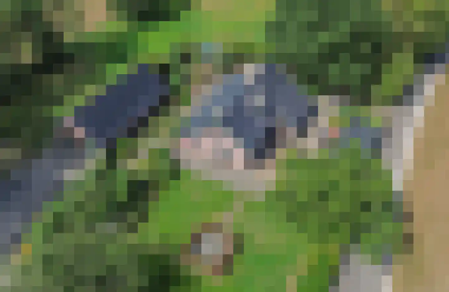 Hoekersteeg 1 Nijkerk thumbnail 48