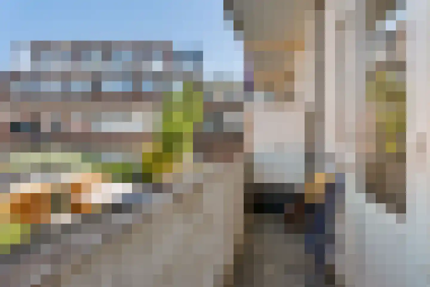 Hoekerstraat 15 Den Haag thumbnail 19