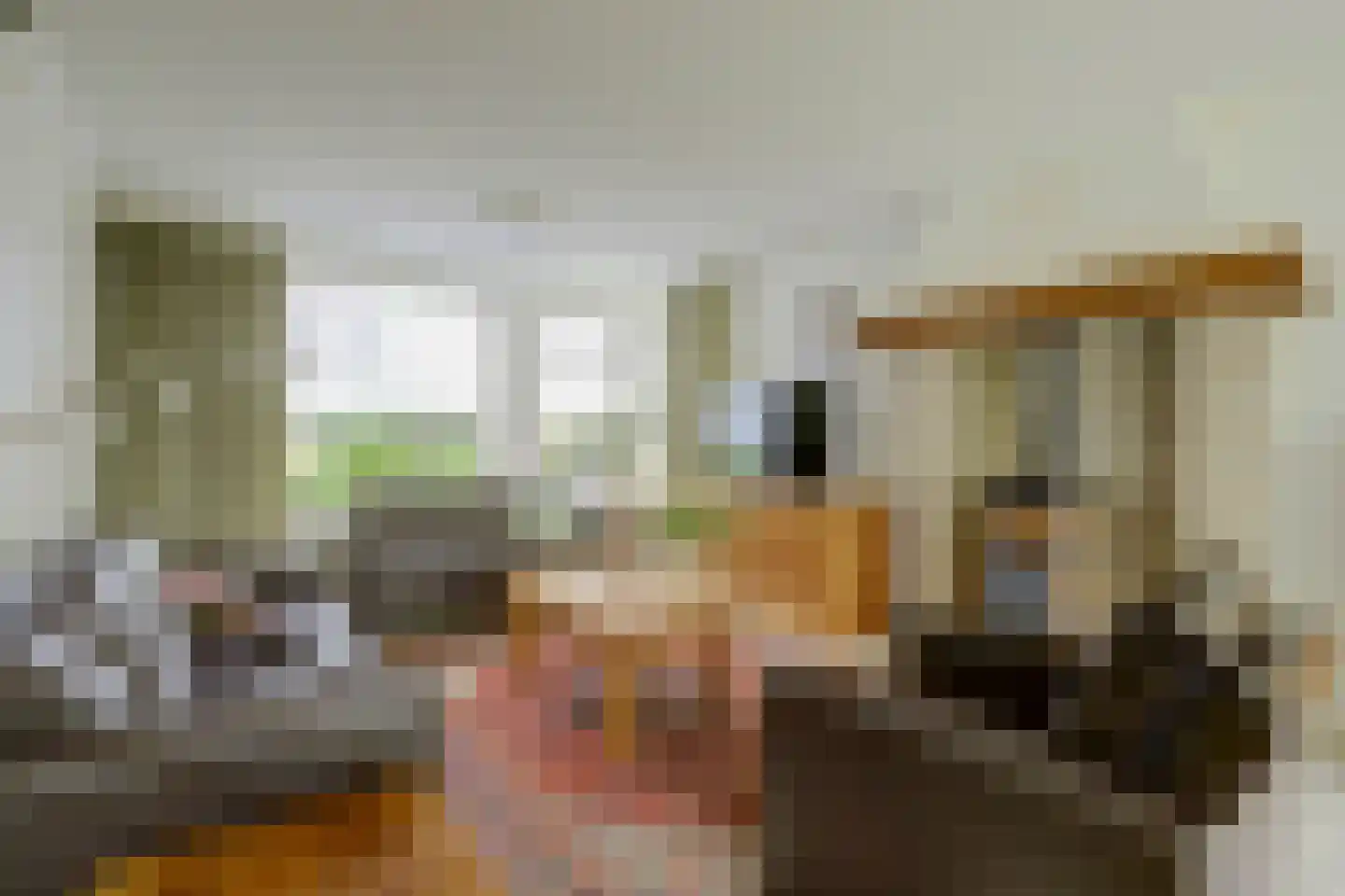Hoekerstraat 9 B Egchel thumbnail 12