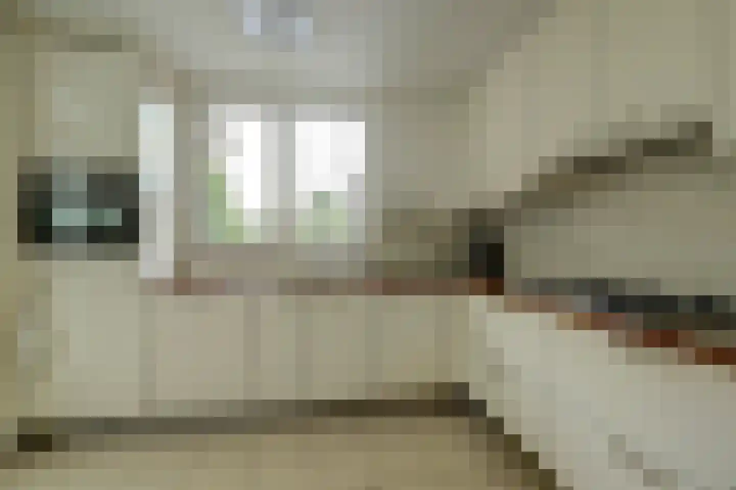 Hoekerstraat 9 B Egchel thumbnail 22