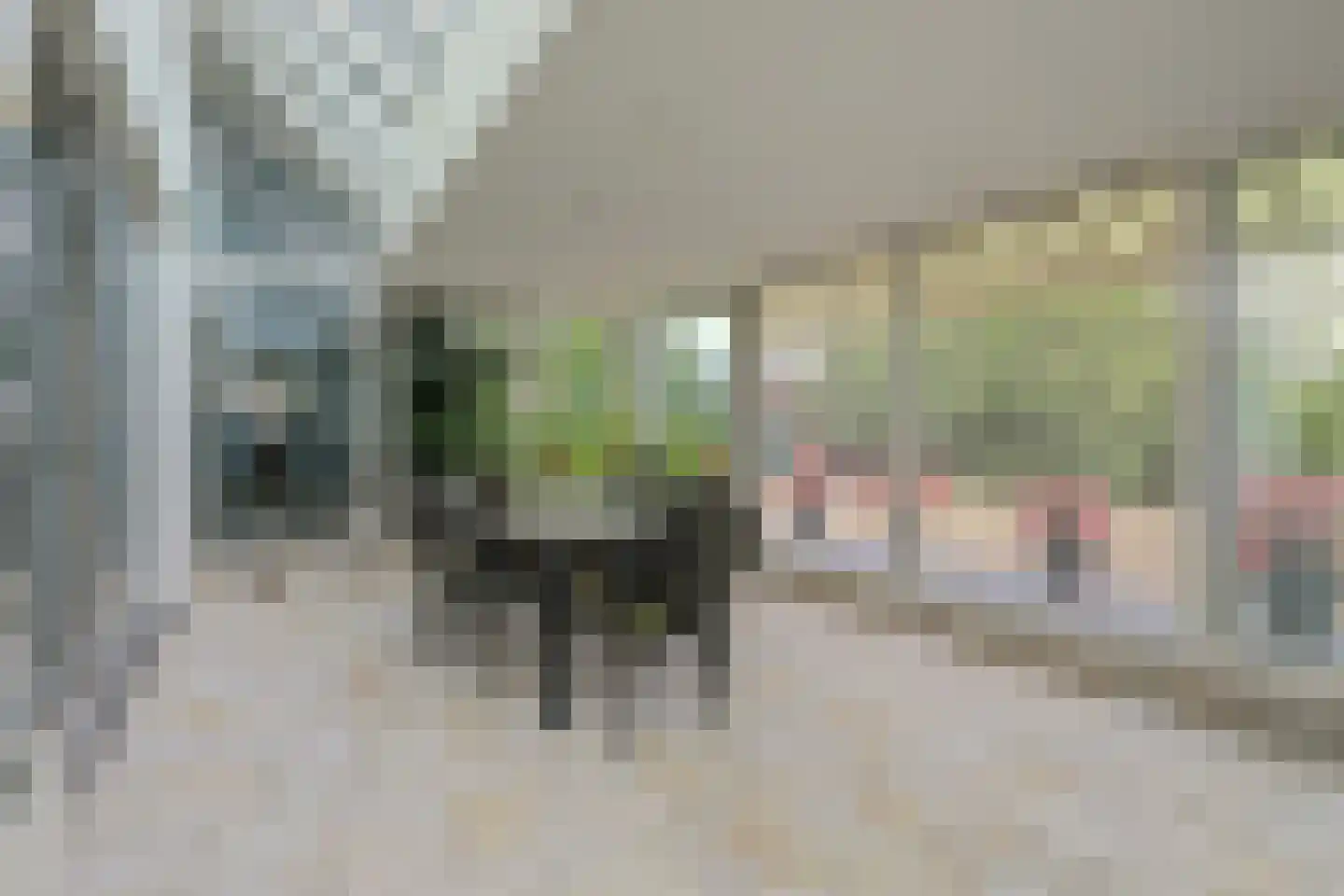 Hoekerstraat 9 B Egchel thumbnail 24