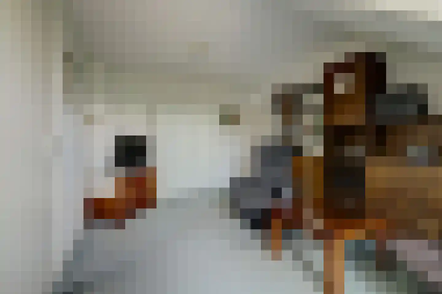 Hoekerstraat 9 B Egchel thumbnail 37
