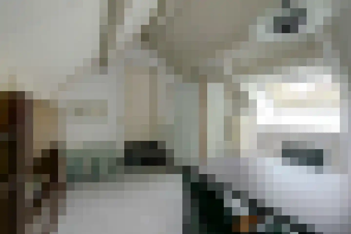 Hoekerstraat 9 B Egchel thumbnail 38