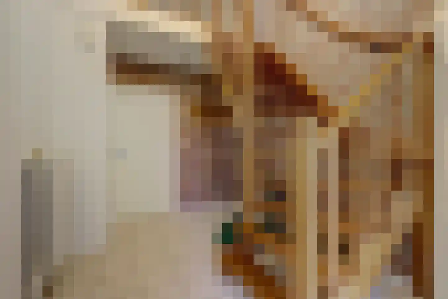 Hoekerstraat 9 B Egchel thumbnail 6