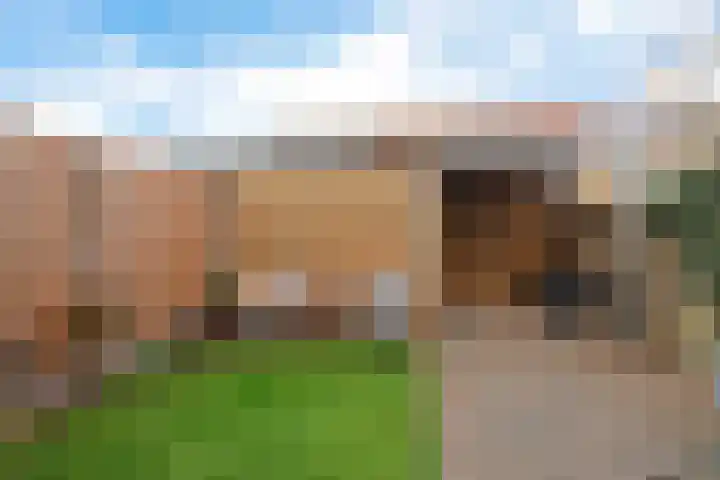 Hoekgat 25 De Zilk thumbnail 10