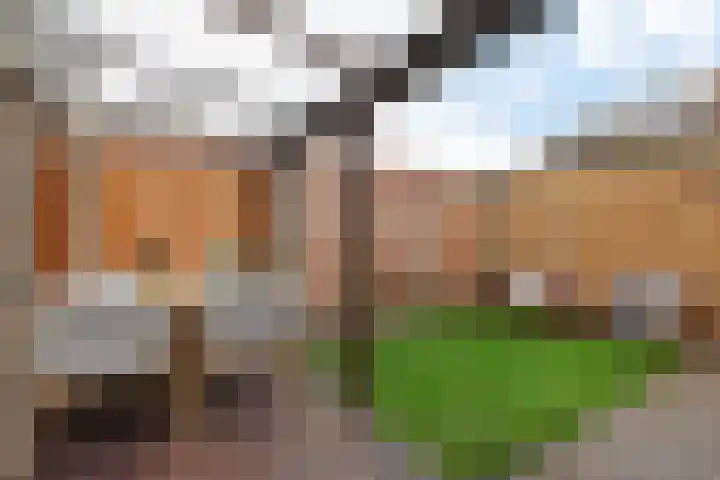 Hoekgat 25 De Zilk thumbnail 12