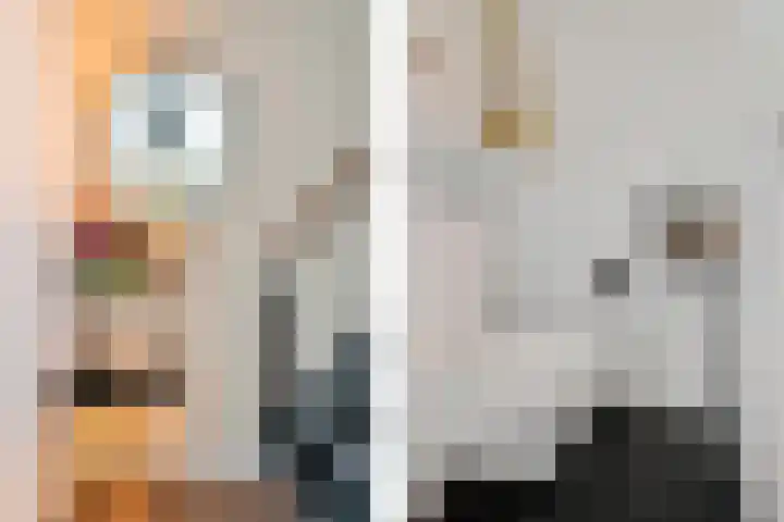 Hoekgat 25 De Zilk thumbnail 14