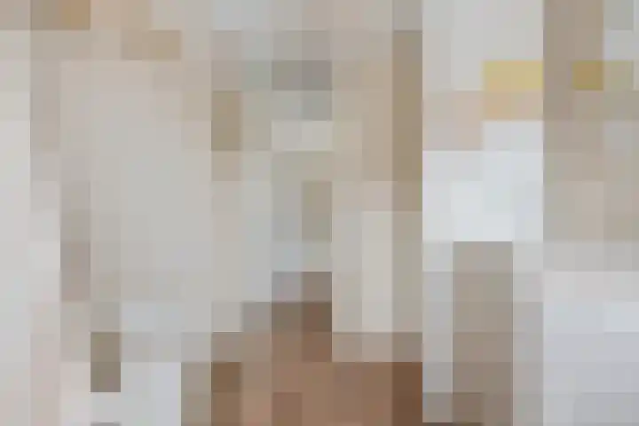 Hoekgat 25 De Zilk thumbnail 16