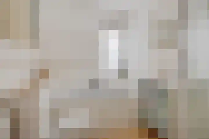 Hoekgat 25 De Zilk thumbnail 21