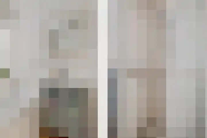 Hoekgat 25 De Zilk thumbnail 22