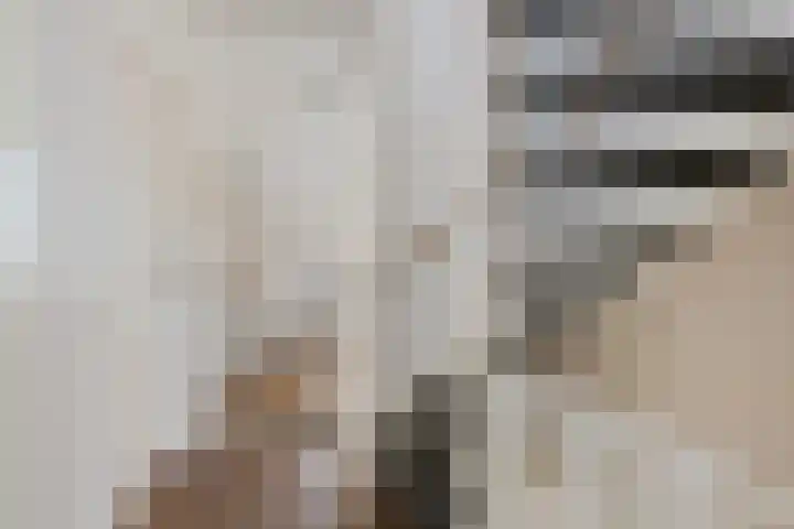 Hoekgat 25 De Zilk thumbnail 23