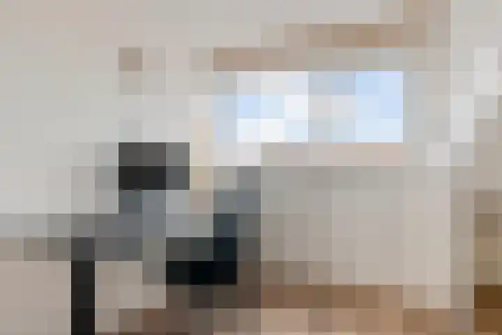 Hoekgat 25 De Zilk thumbnail 24