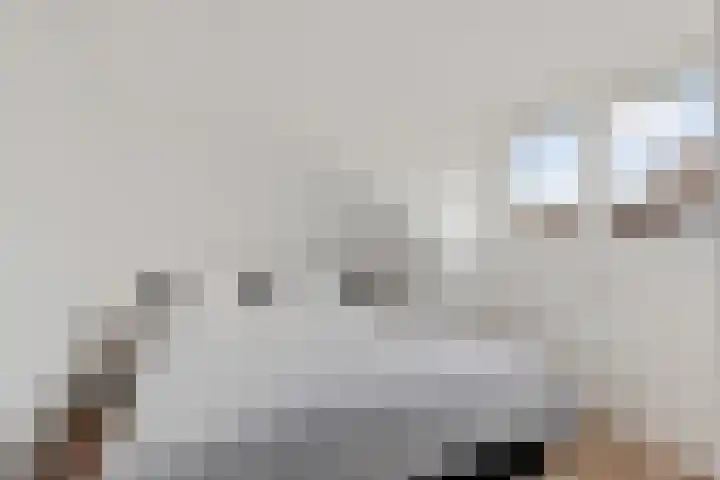 Hoekgat 25 De Zilk thumbnail 26