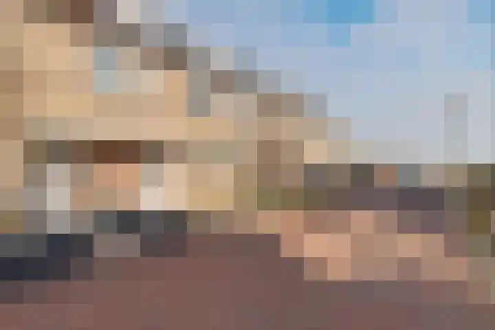 Hoekgat 25 De Zilk thumbnail 28