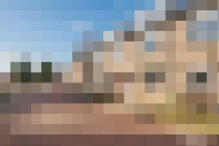 Hoekgat 25 De Zilk thumbnail 29