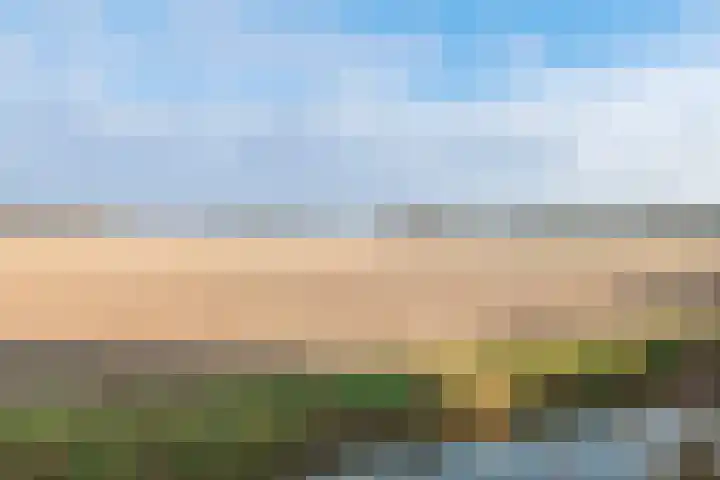 Hoekgat 25 De Zilk thumbnail 30
