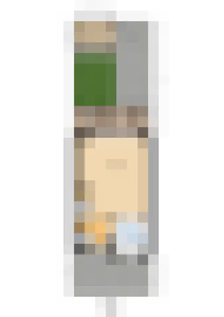 Hoekgat 25 De Zilk thumbnail 37
