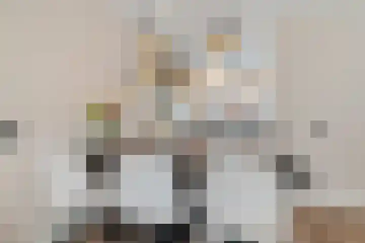 Hoekgat 25 De Zilk thumbnail 5