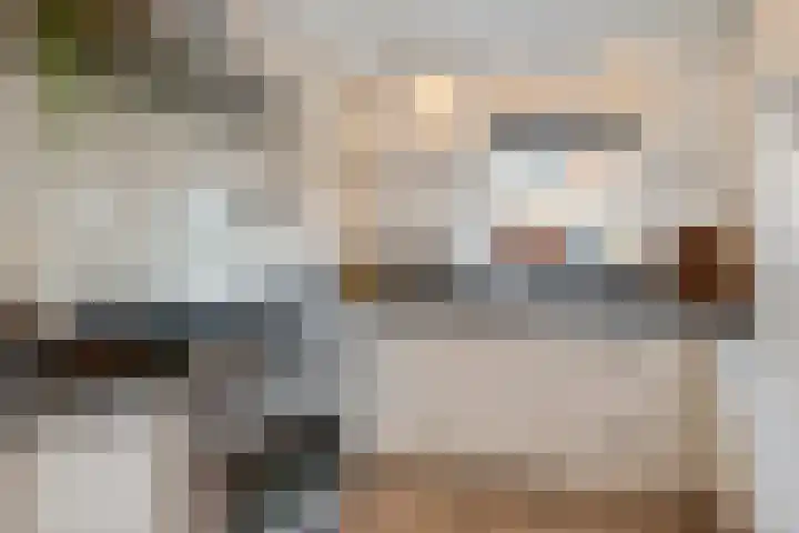 Hoekgat 25 De Zilk thumbnail 6
