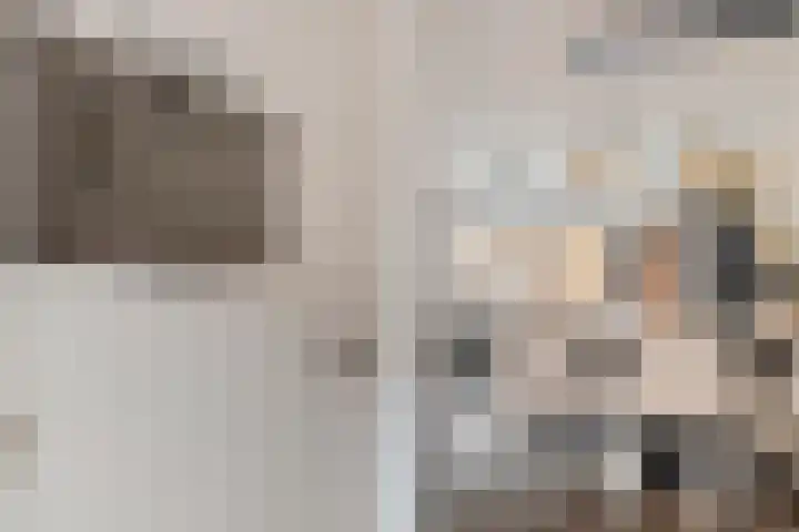 Hoekgat 25 De Zilk thumbnail 7