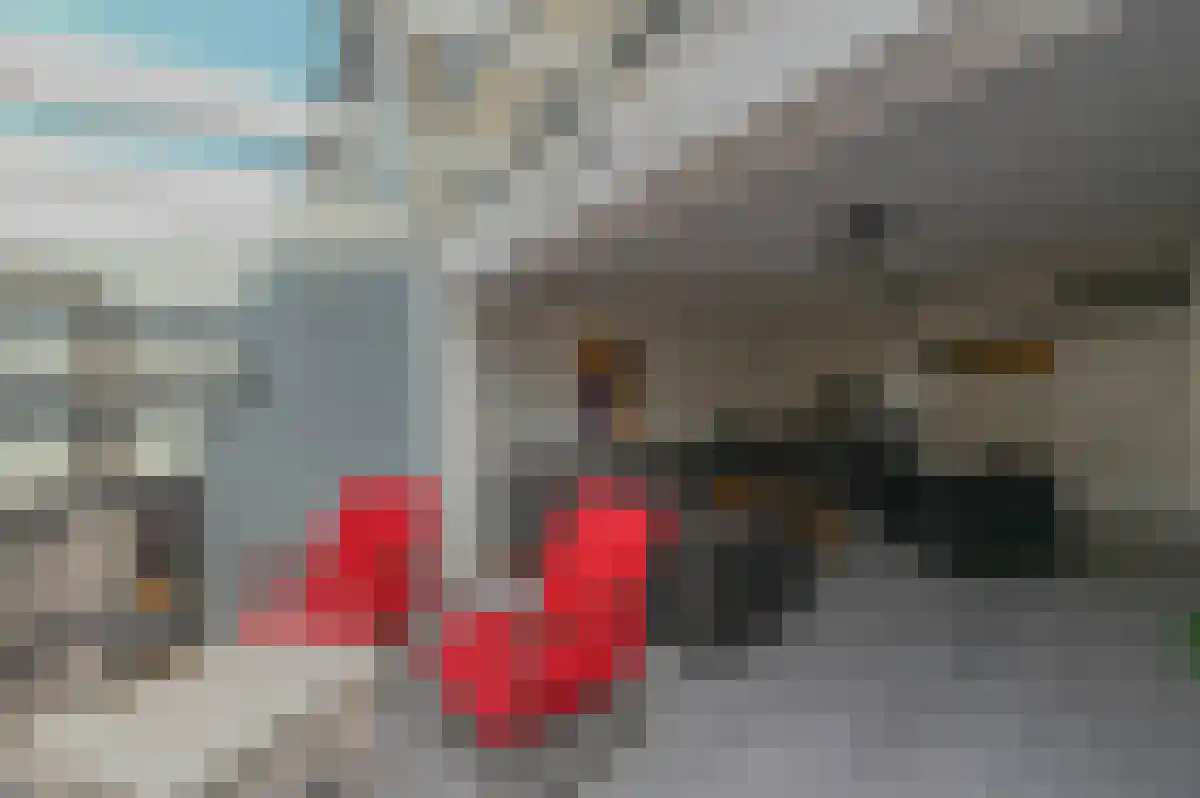 Hoekgat 29 De Zilk thumbnail 4