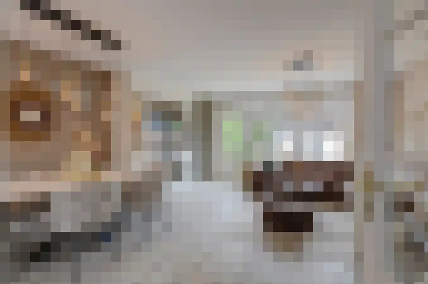 Hoekkamp 1 Hendrik-Ido-Ambacht thumbnail 10