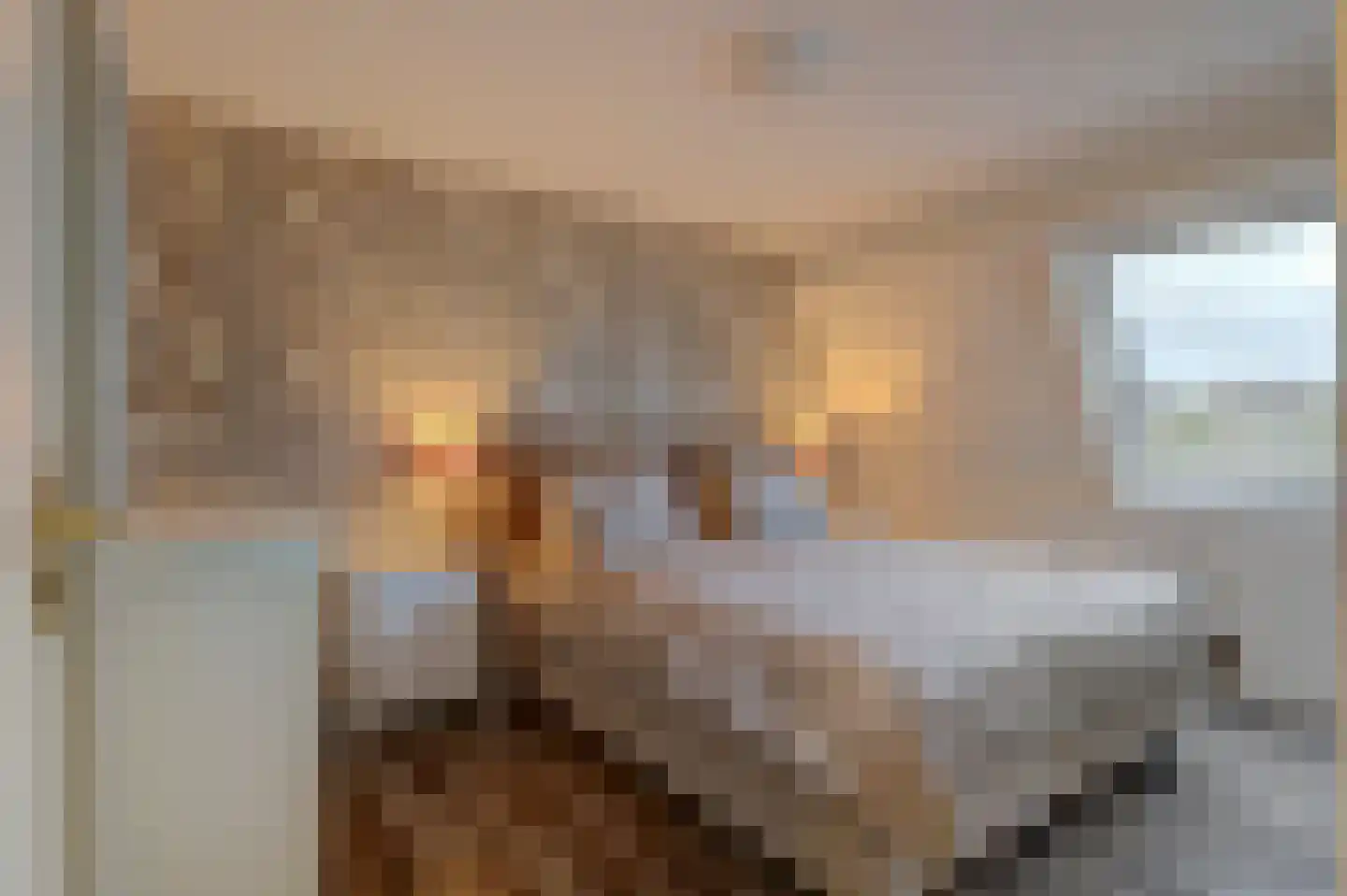 Hoekkamp 1 Hendrik-Ido-Ambacht thumbnail 26