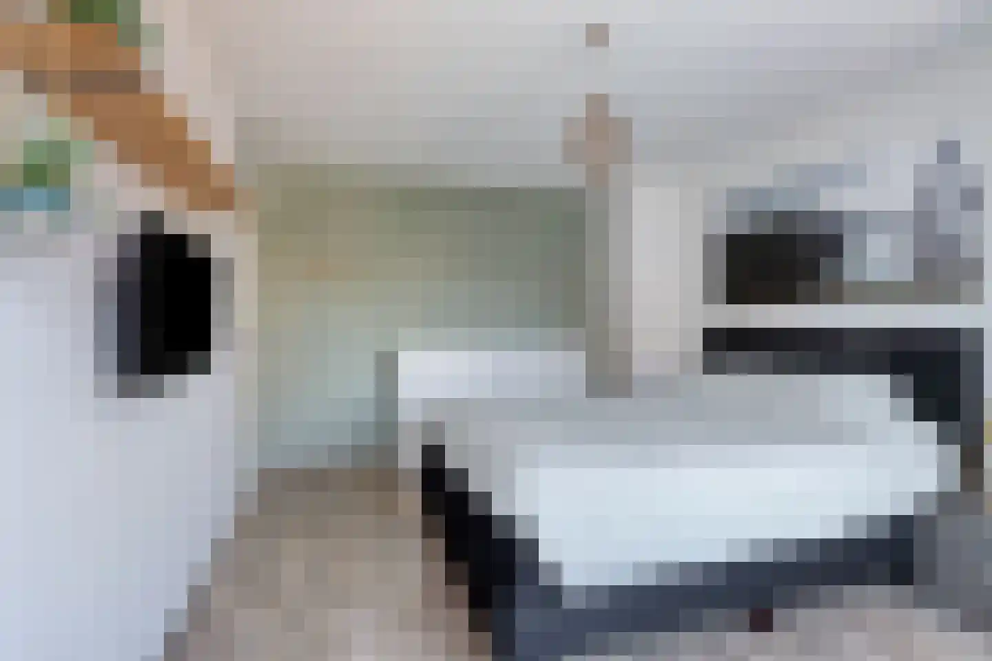 Hoekkamp 8 Hendrik-Ido-Ambacht thumbnail 17