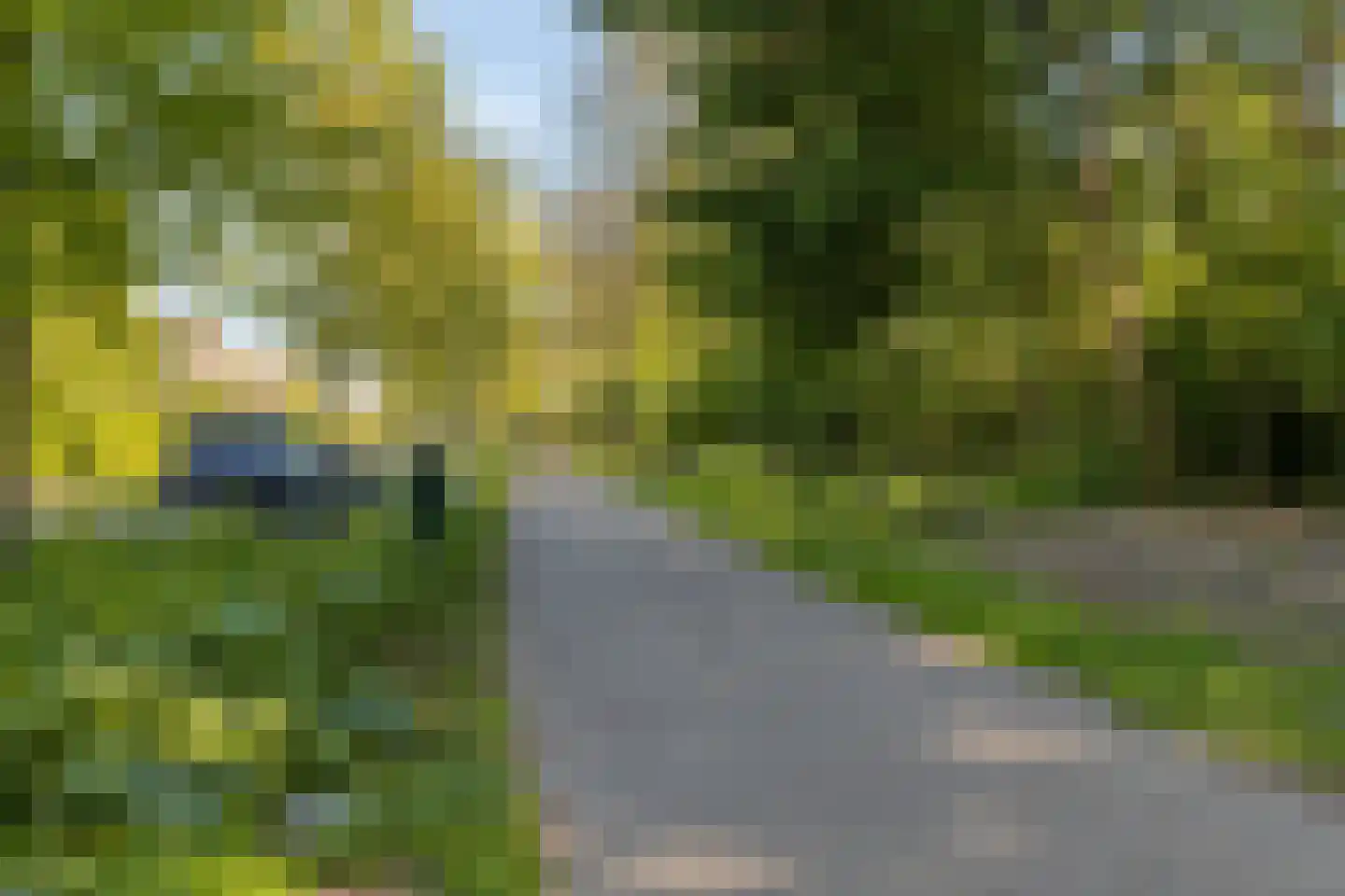 Hoekkamp 8 Hendrik-Ido-Ambacht thumbnail 38