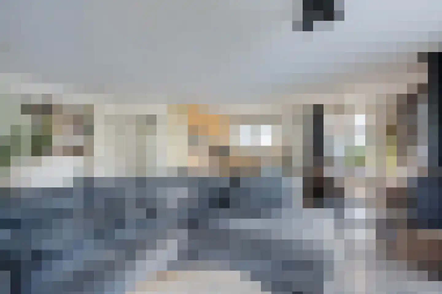 Hoekse Aar 100 Ter Aar thumbnail 13
