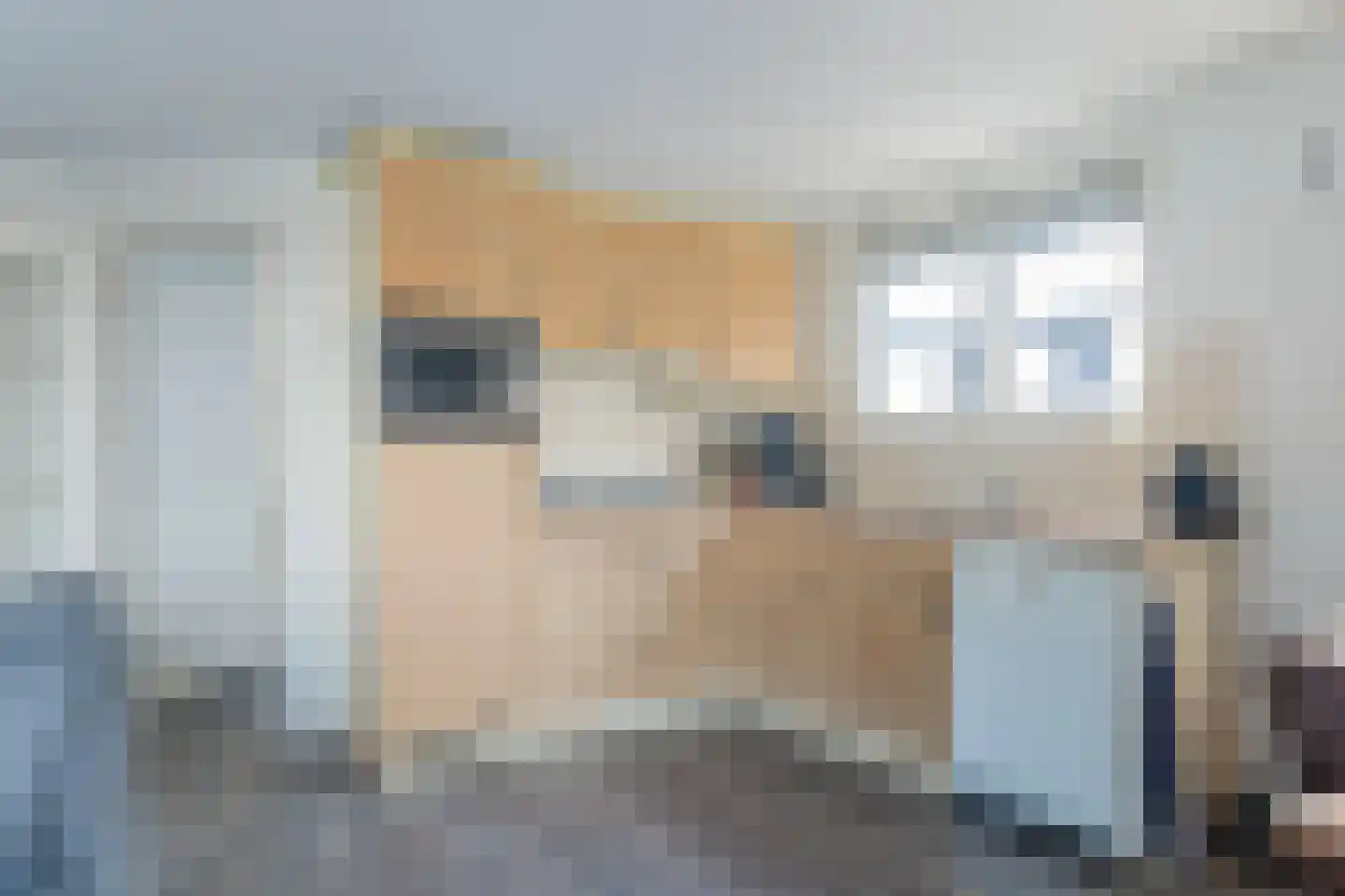 Hoekse Aar 100 Ter Aar thumbnail 14