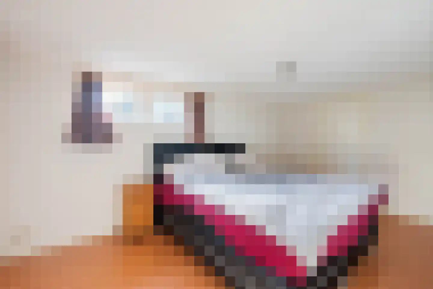 Hoekse Aar 100 Ter Aar thumbnail 17