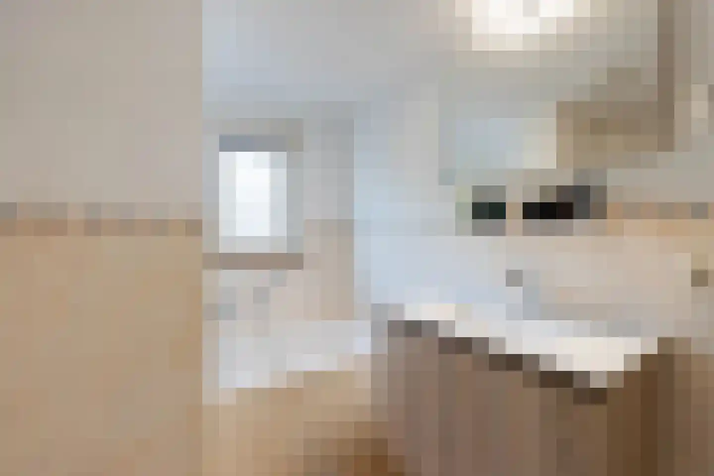 Hoekse Aar 100 Ter Aar thumbnail 23