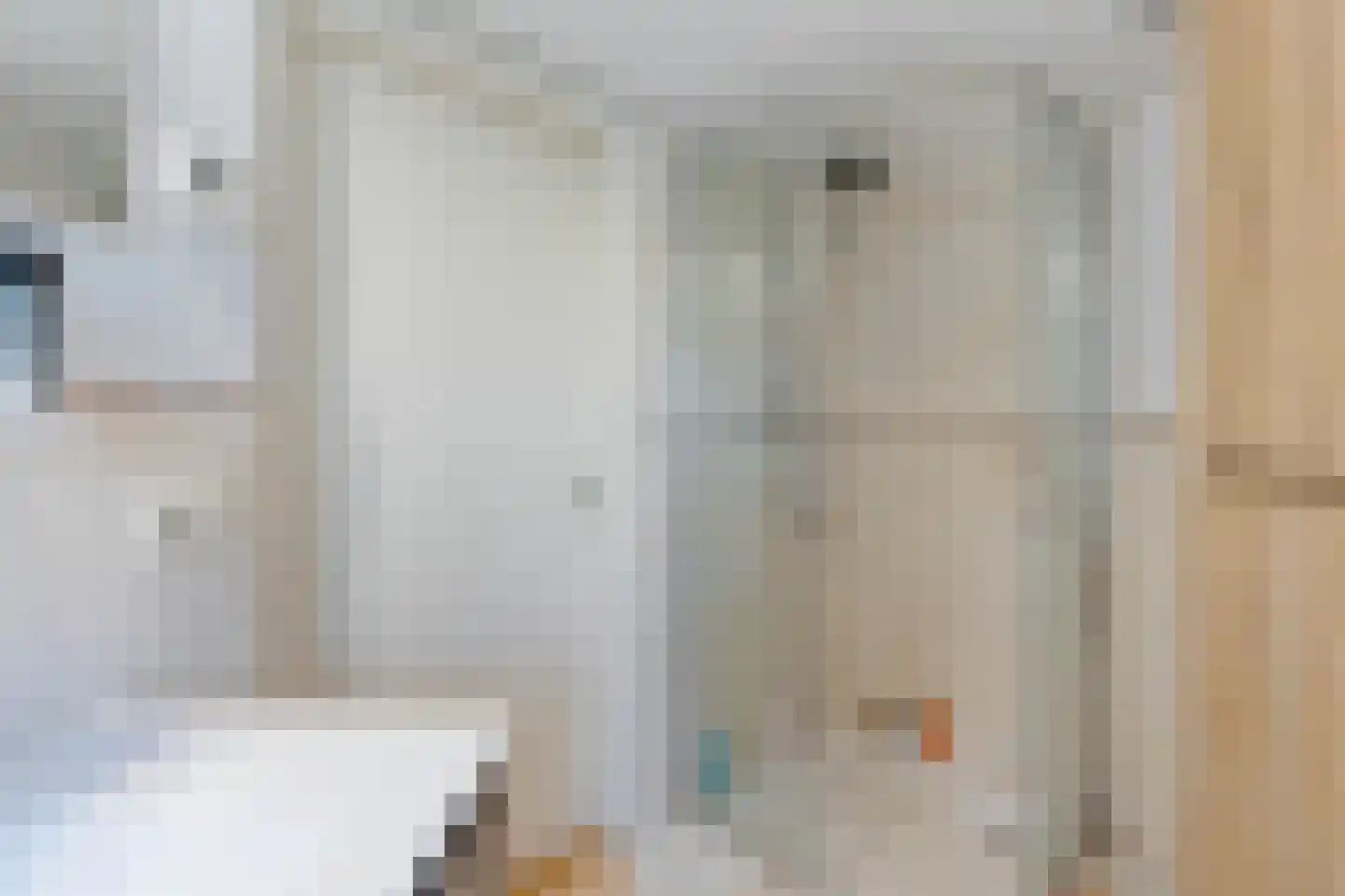 Hoekse Aar 100 Ter Aar thumbnail 24