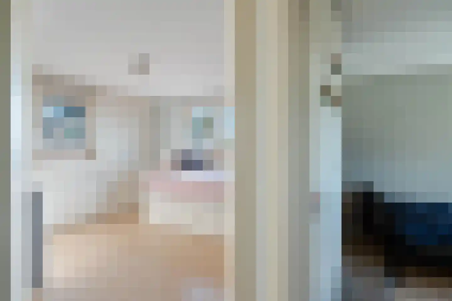 Hoekse Aar 100 Ter Aar thumbnail 25