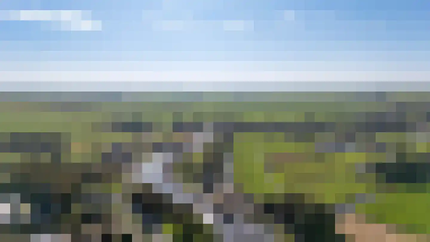 Hoekse Aar 100 Ter Aar foto 3
