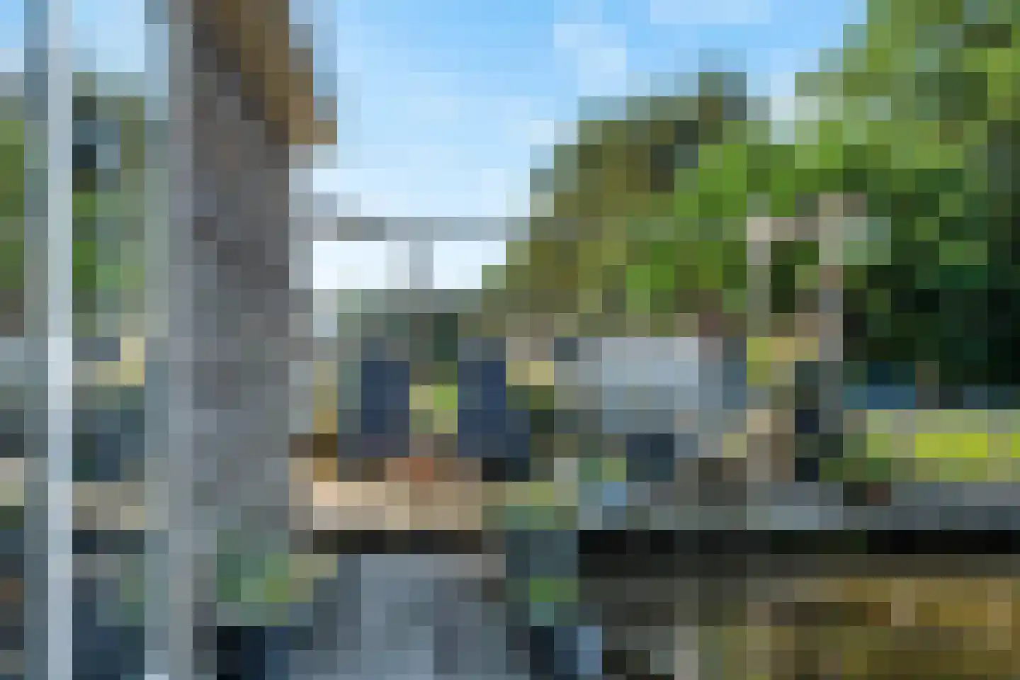Hoekse Aar 100 Ter Aar thumbnail 32