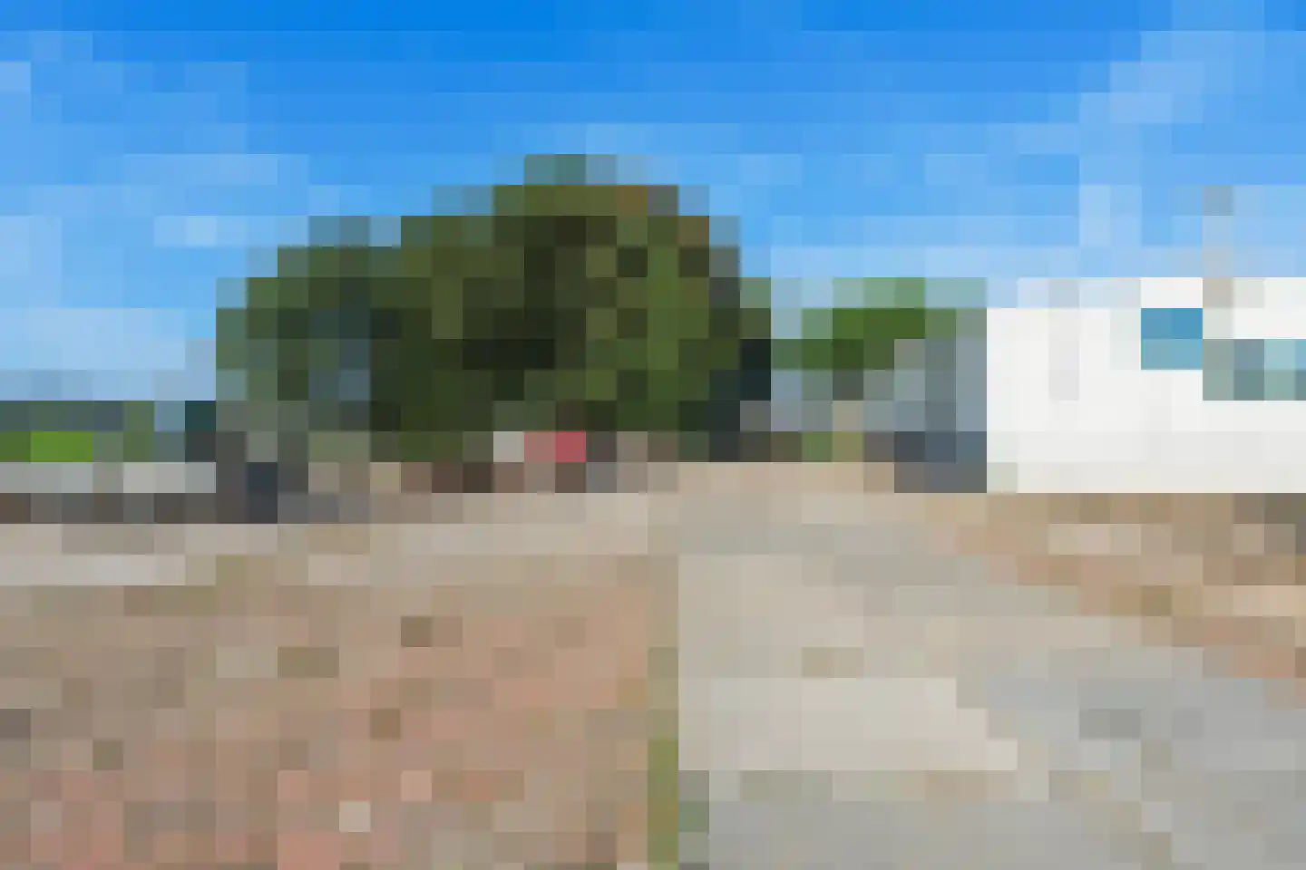 Hoekse Aar 100 Ter Aar thumbnail 36