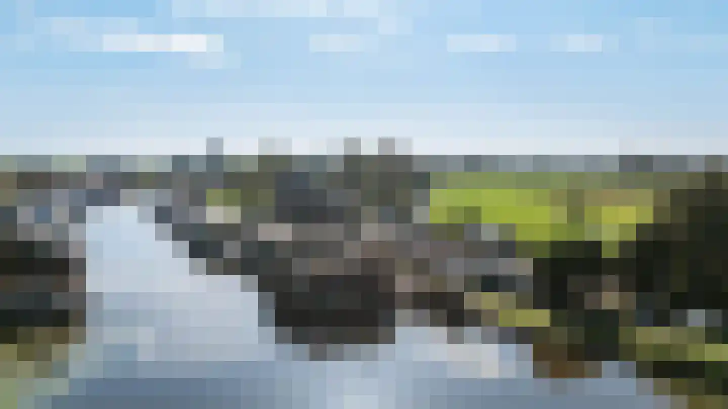 Hoekse Aar 100 Ter Aar thumbnail 4