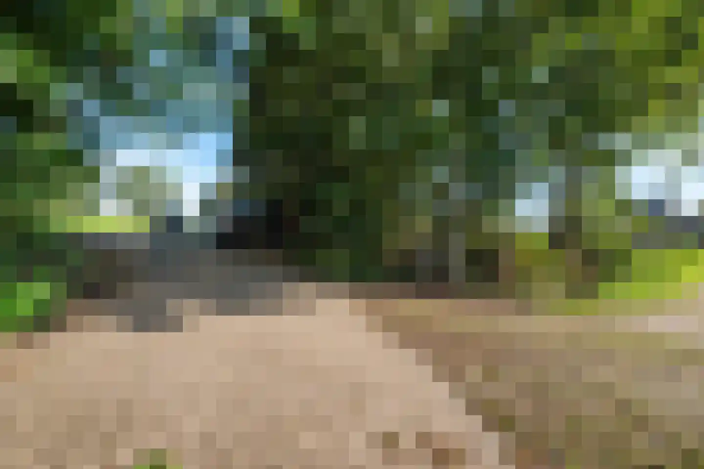 Hoekse Aar 100 Ter Aar thumbnail 41