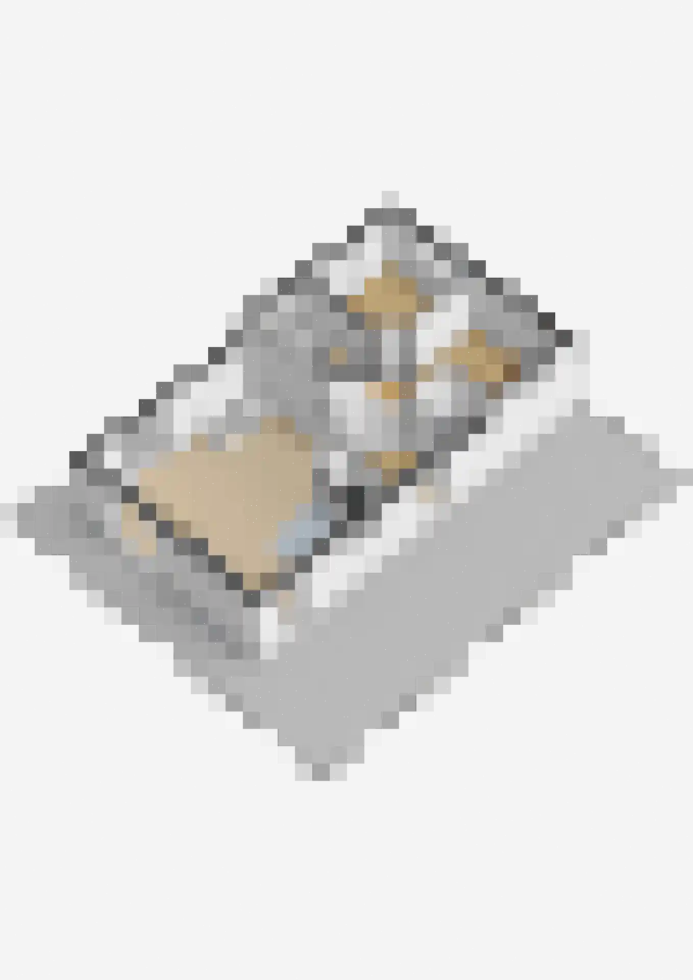 Hoekse Aar 100 Ter Aar thumbnail 44