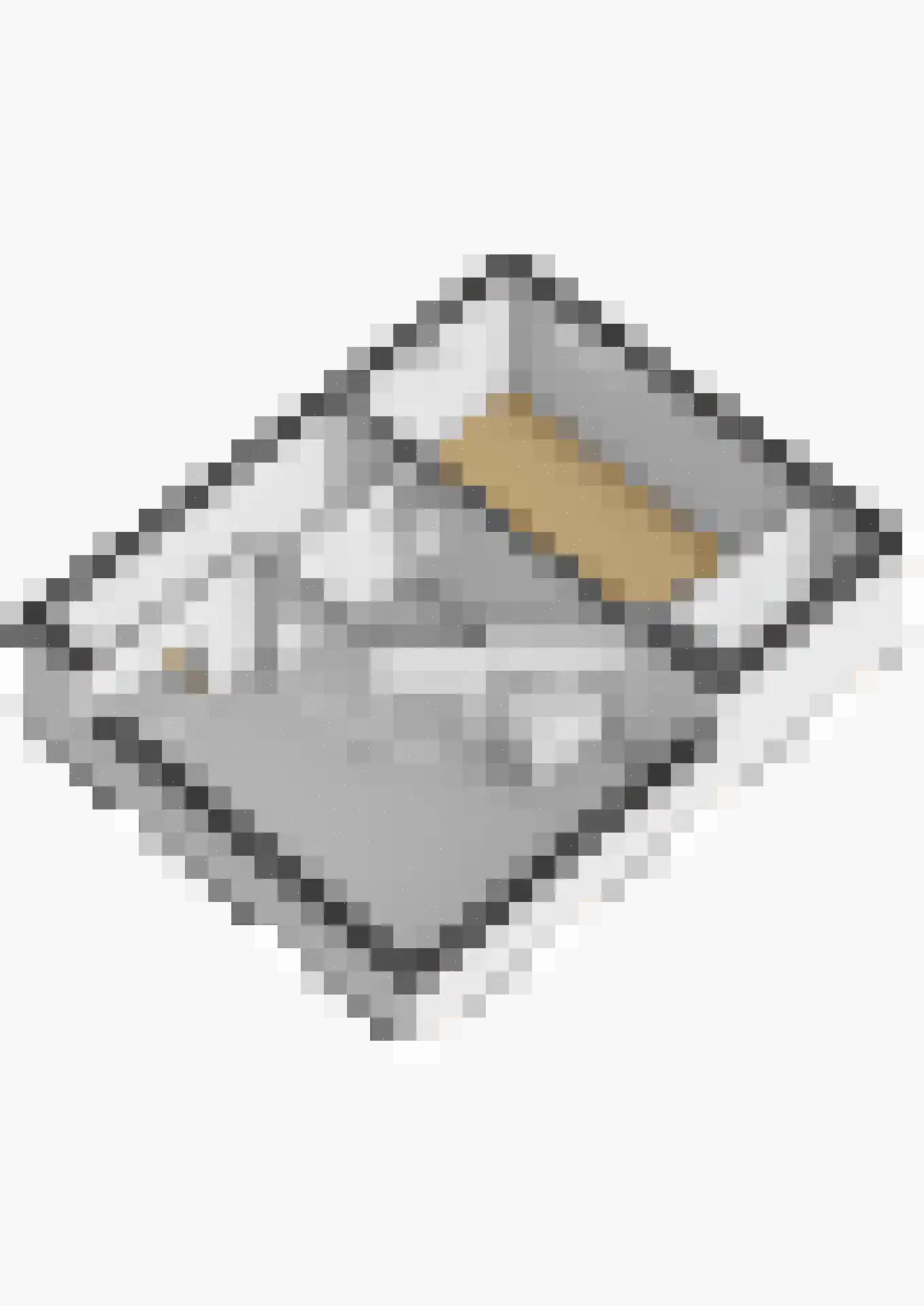 Hoekse Aar 100 Ter Aar thumbnail 46