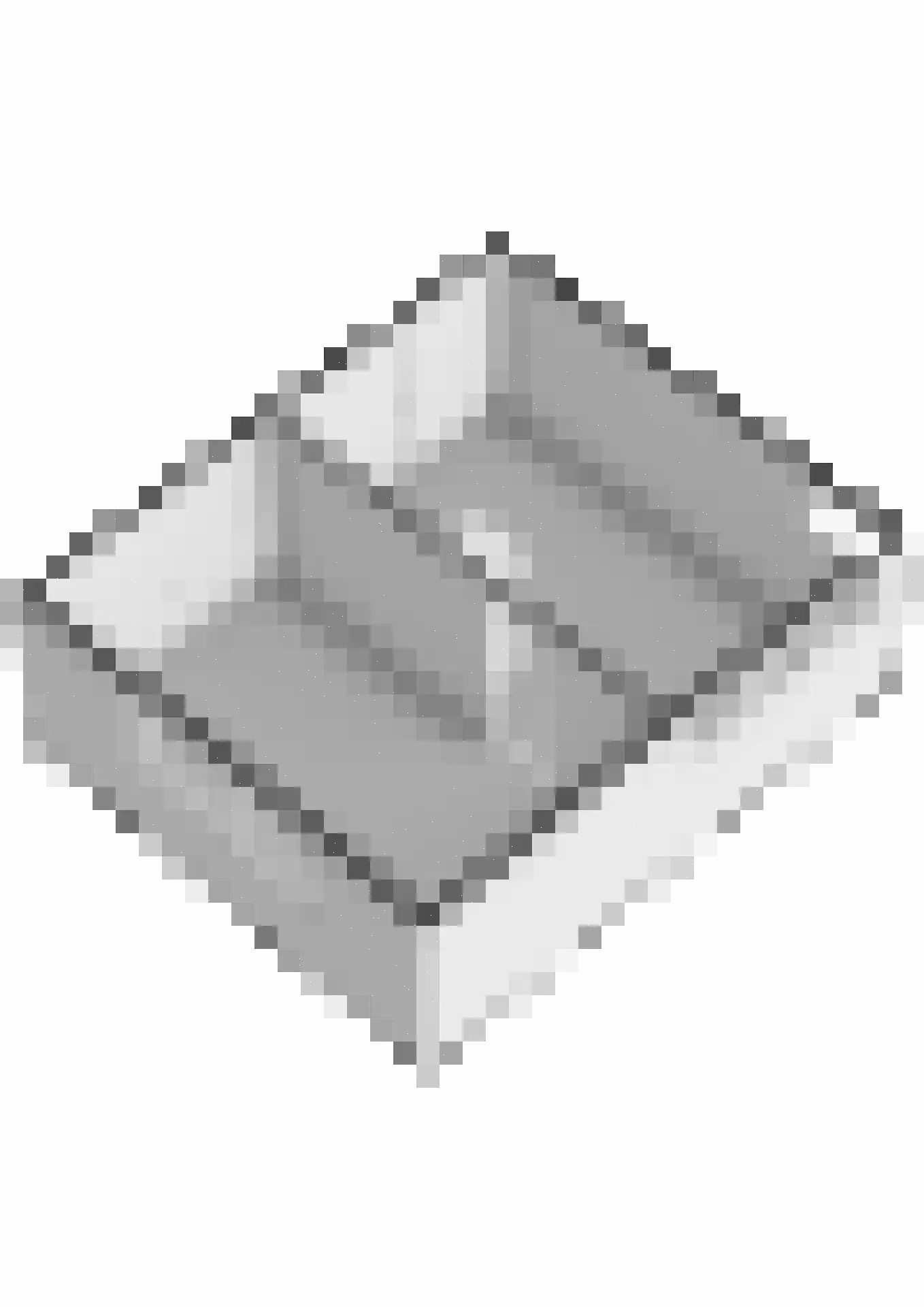 Hoekse Aar 100 Ter Aar thumbnail 48